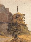 A Tree in a Quarry Albrecht Durer
